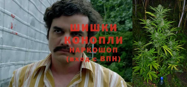 спайс Надым